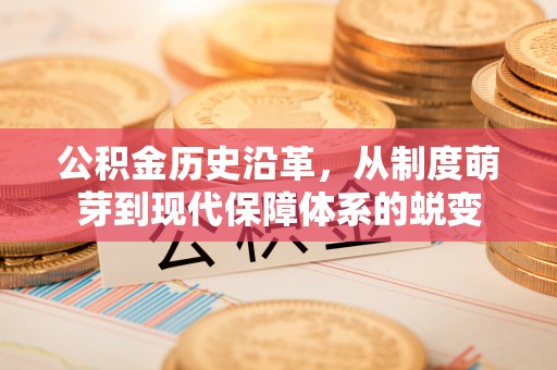 大冶公积金历史沿革，从制度萌芽到现代保障体系的蜕变