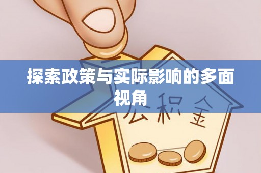 大冶探索政策与实际影响的多面视角