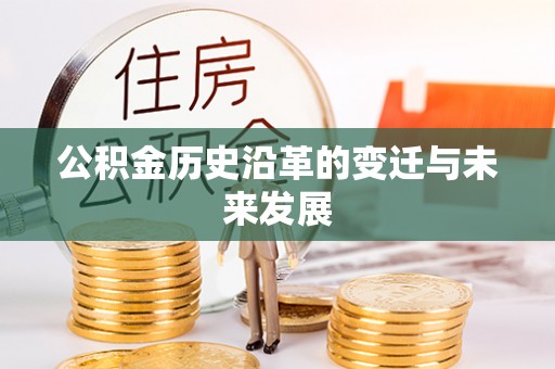 大冶公积金历史沿革的变迁与未来发展