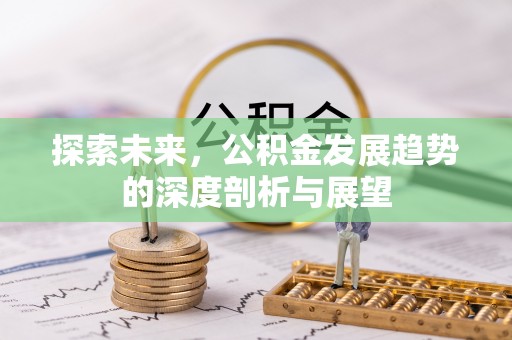大冶探索未来，公积金发展趋势的深度剖析与展望