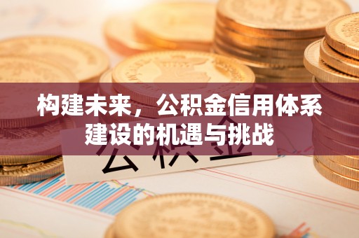 大冶构建未来，公积金信用体系建设的机遇与挑战