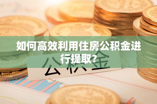 大冶如何高效利用住房公积金进行提取？