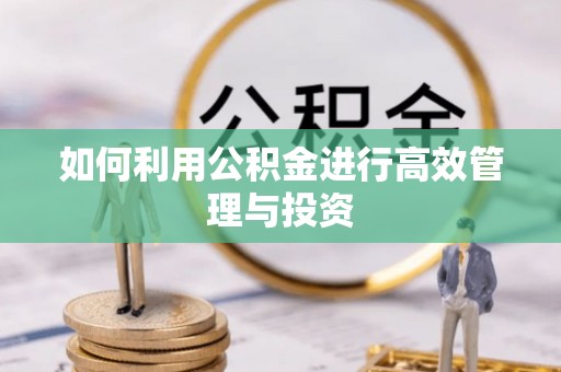 大冶如何利用公积金进行高效管理与投资