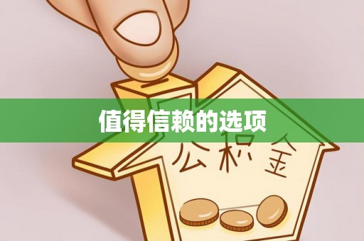 大冶值得信赖的选项