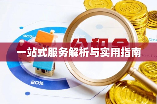 大冶一站式服务解析与实用指南