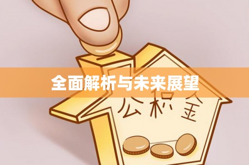大冶全面解析与未来展望