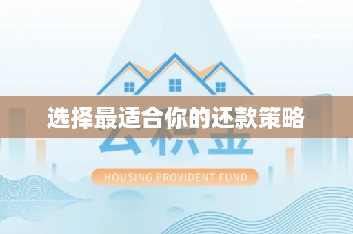 大冶选择最适合你的还款策略