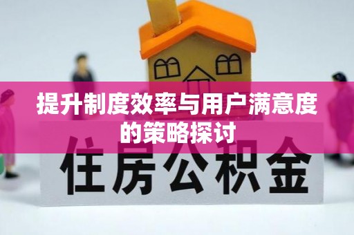 大冶提升制度效率与用户满意度的策略探讨